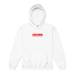 BLE RED Youth heavy blend pullover